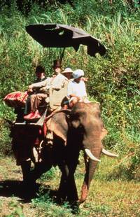 Кадр Вокруг света за 80 дней (мини-сериал)