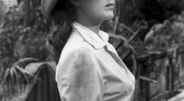 Кадр из фильма "Обнаженные джунгли" - 1