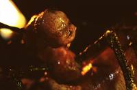 Кадр Колыбель кошмаров (видео)