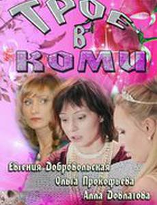 Трое в Коми