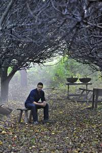 Кадр Красавица и чудовище