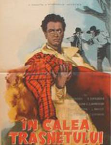 Тропою грома