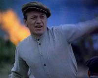 Кадр Красные пчелы