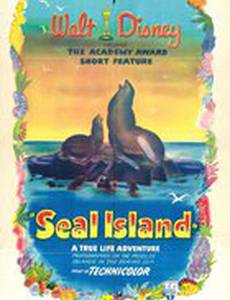 Остров тюленей