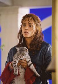 Кадр Женщина-кошка