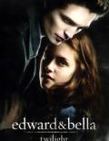 Постер из фильма "Сумерки" - 1
