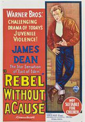 Бунтарь без идеала