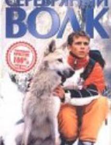 Серебряный волк