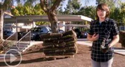 Фрагмент №7