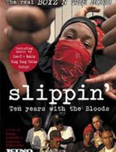 Slippin': Ten Years with the Bloods
