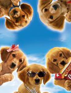 Принцы воздуха (видео)