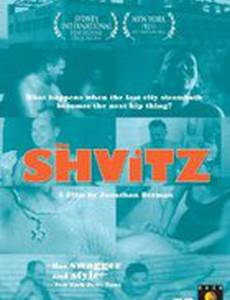 The Shvitz