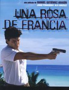 Роза Франции