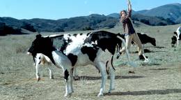 Кадр из фильма "Крысиные бега" - 1