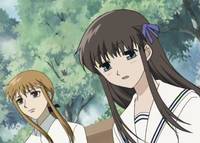 Кадр Корзинка фруктов