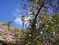 Кадр Tales from the Green Valley