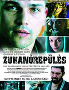 Пикирующий полёт