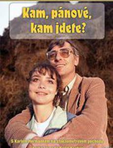 Куда, товарищи, куда идете?