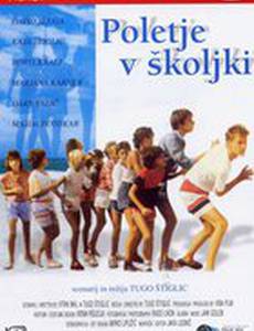 Лето в раковине