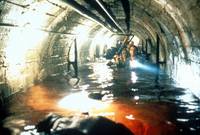 Кадр Реликт