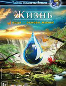 Жизнь: Вода – основа жизни (видео)