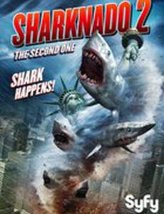 Акулий торнадо 2