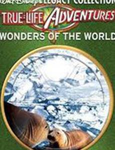 Белая пустошь