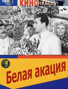 Белая акация