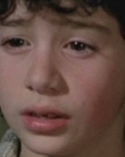 Меено Пелусе фото