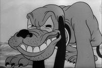 Кадр Микки Маус и кенгуру