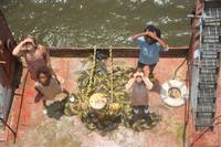 Кадр Звери дикого Юга