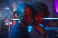 Кадр Цветок пустыни