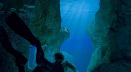 Кадр из фильма "Санктум 3D" - 2