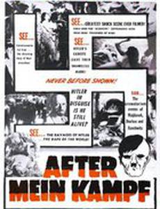 After Mein Kampf
