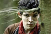 Кадр Мерлин