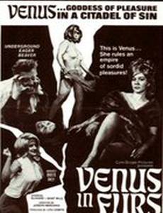 Venus in Furs