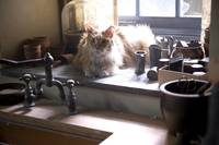 Кадр Голодные игры: Сойка-пересмешница. Часть I