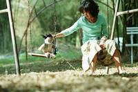 Кадр Шоколад