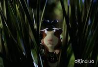 Кадр Миссия Дарвина