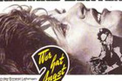 Кто боится Вирджинии Вульф?