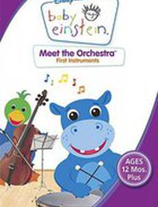 Знакомство с оркестром (видео)