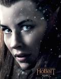 Постер из фильма "Хоббит: Битва пяти воинств" - 1