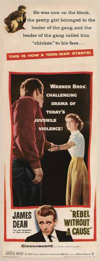 Постер Бунтарь без идеала