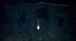 Кадр из фильма "Вулканы в морских глубинах" - 2