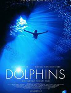 Дельфины