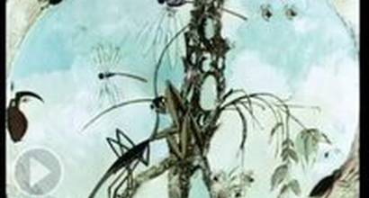 Мультфильм