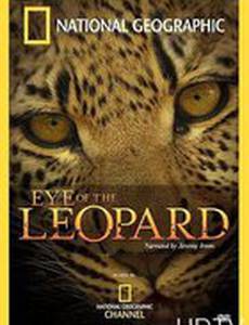 Глазами леопарда