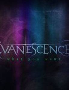 Evanescence's 'What You Want'