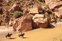 Кадр Блэкторн