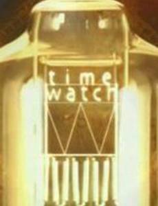 Шкала времени